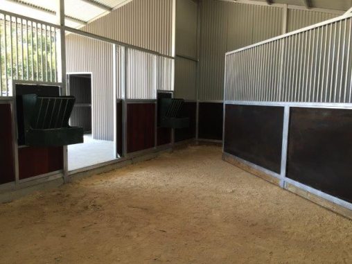 Double stall with swinging deivider to make larger stall for mare and foal