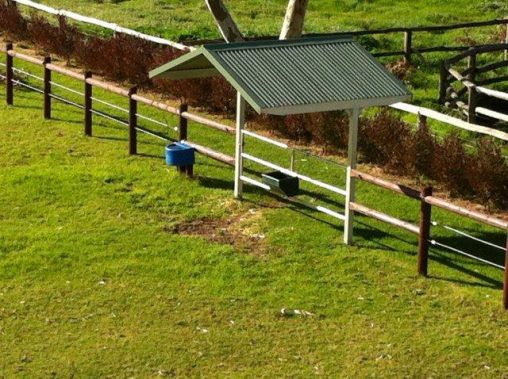 Gate Shelter, to enable to feed horse in open paddock in all weather sun or rain