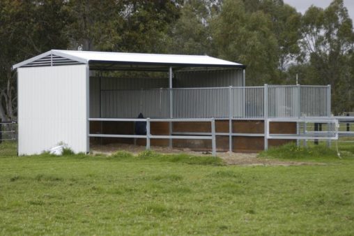 Double shelter with front steel yards lined with used conveyor belt. Bars to separate horses