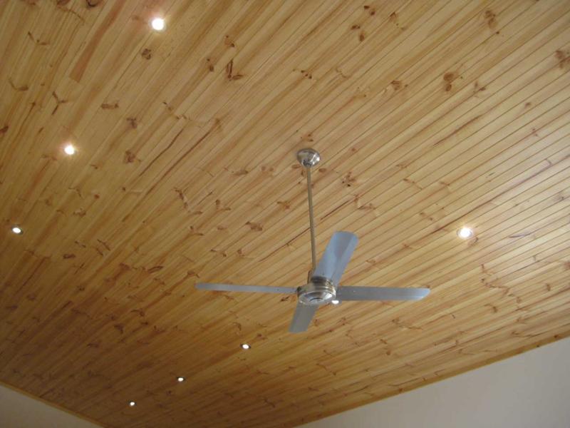 Pine tongue and groove ceiling