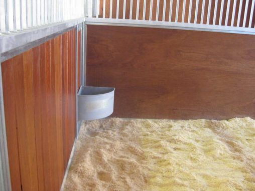 Feed dish inside stall, sheoak front kick boards, ply wood divider to stalls, wood shaving bedding