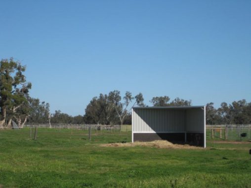 2 Sided shelter, rubber side walls 1200mm high, rubber to protect horses in and outside of shelter (front view)