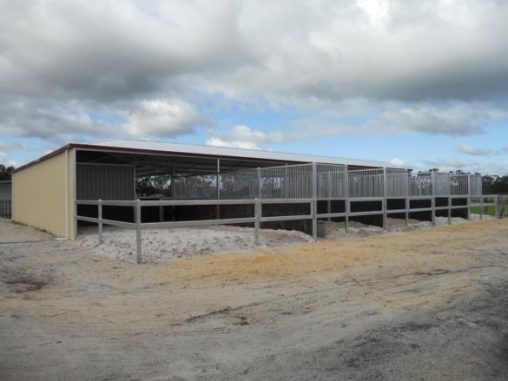 Stables with yards at back all steel bars with steel rails lined with rubber
