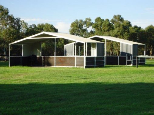 Double Shelters with pull down feeder and hay feeder